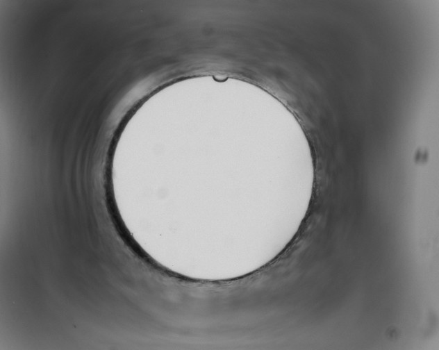 X0000101220007200807251122