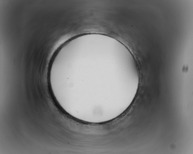 X0000101220008200807251122