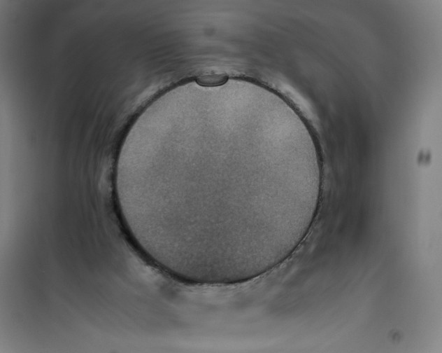 X0000101220009200807251122