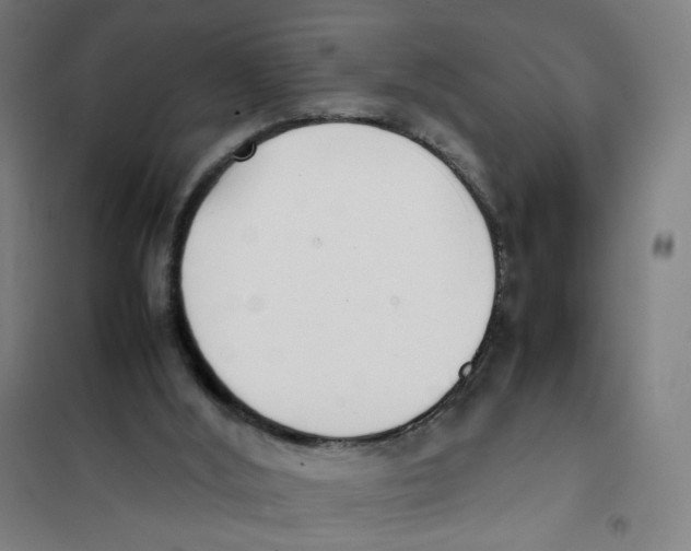 X0000101220012200807251122