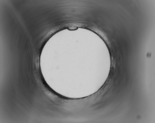 X0000101220013200807251122