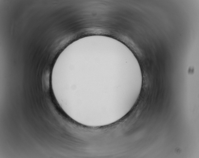 X0000101220014200807251122