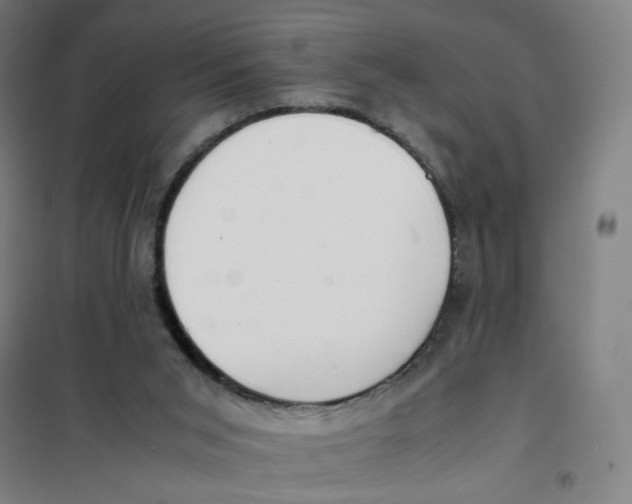 X0000101220015200807251122