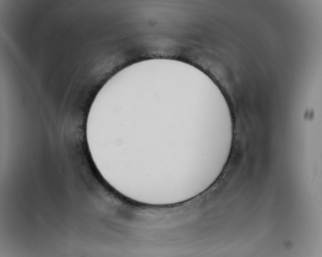 X0000101220017200807251122