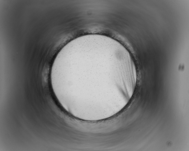 X0000101220018200807251122