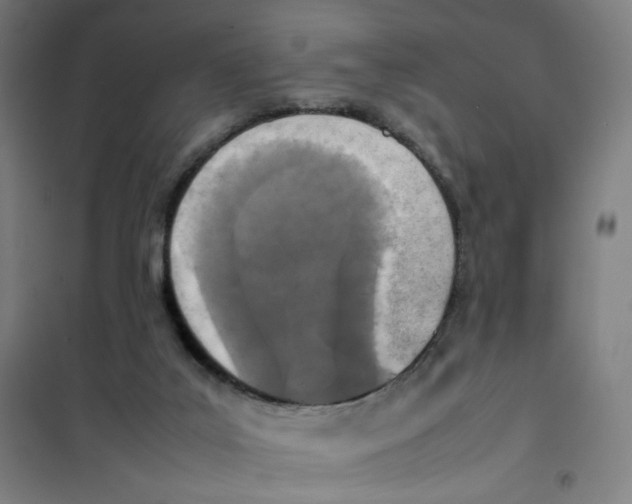 X0000101220019200807251122