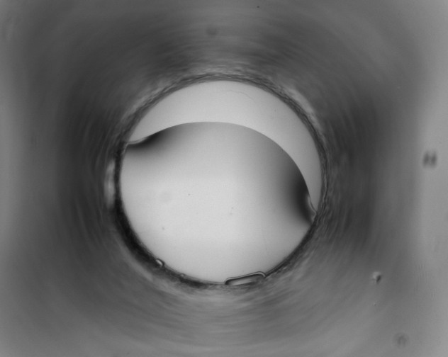 X0000101220020200807251122