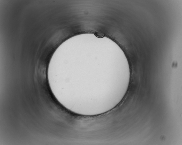 X0000101220021200807251122