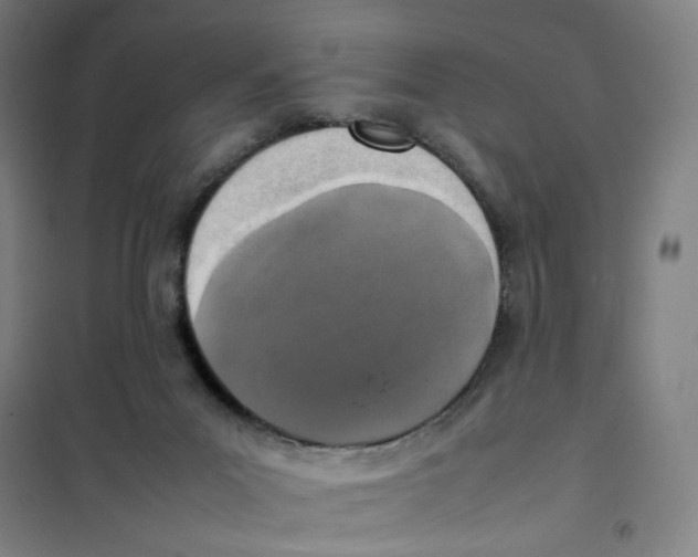 X0000101220023200807251122