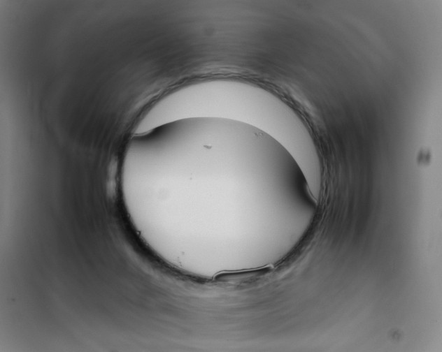 X0000101220024200807251122