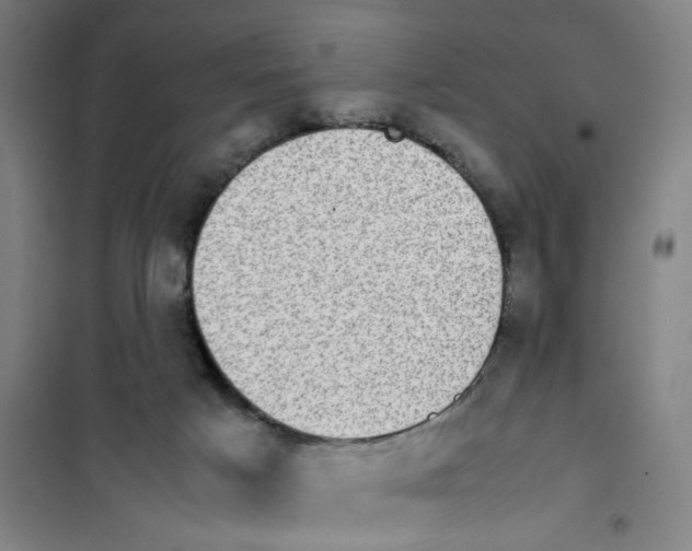 X0000101220025200807251122