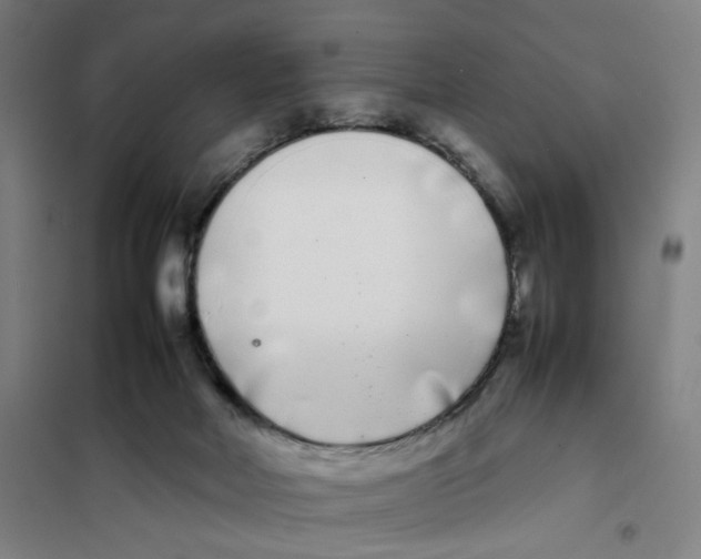 X0000101220026200807251122