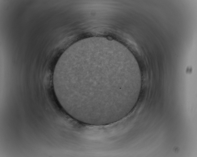 X0000101220029200807251122