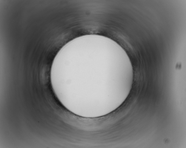 X0000101220030200807251121