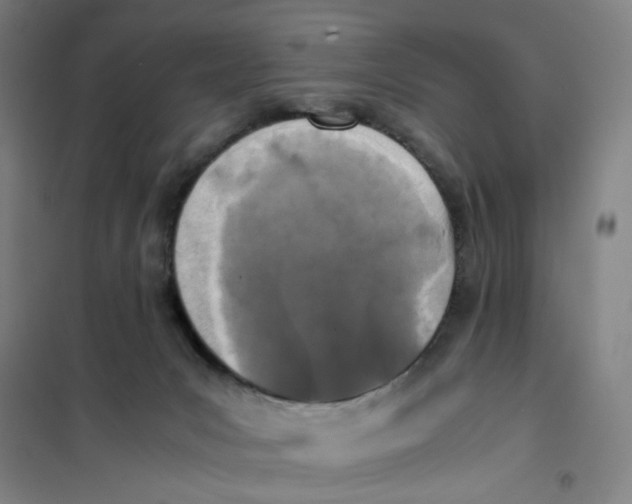 X0000101220031200807251121