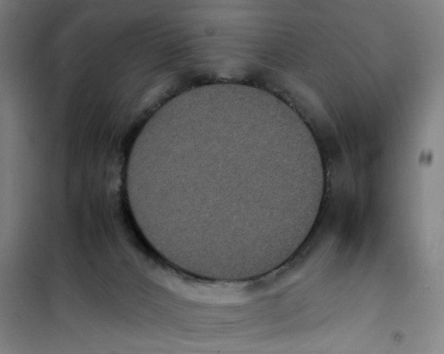 X0000101220032200807251121