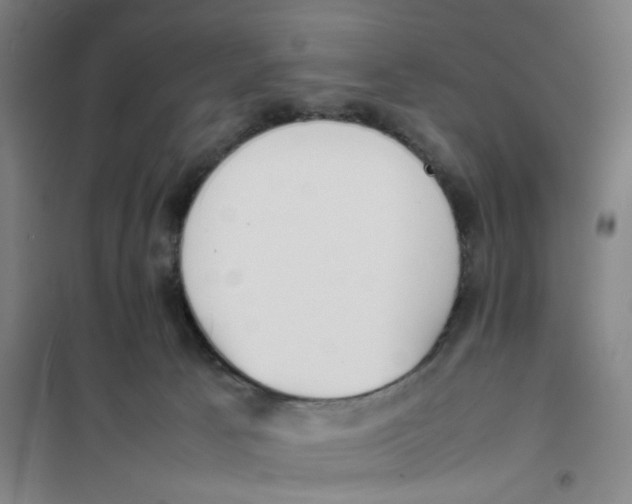 X0000101220033200807251121