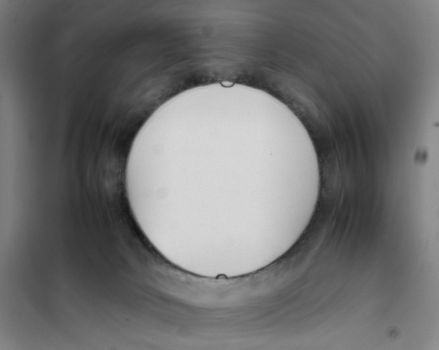 X0000101220034200807251121