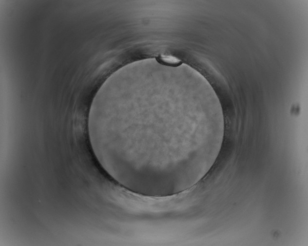 X0000101220035200807251121