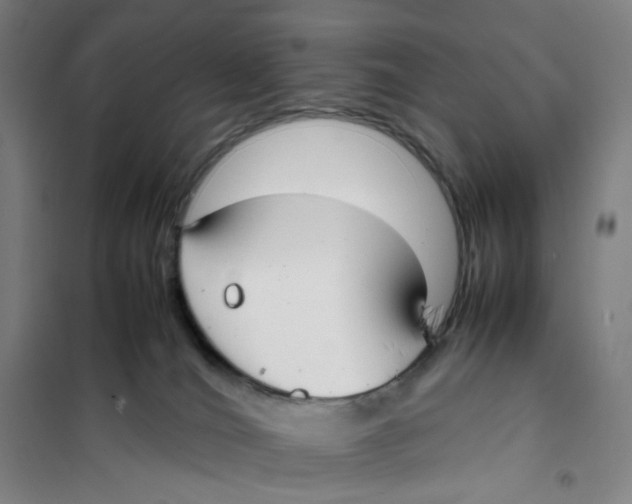 X0000101220036200807251121