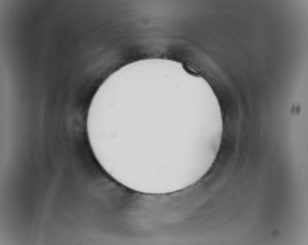 X0000101220037200807251121