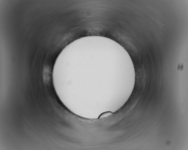 X0000101220038200807251121
