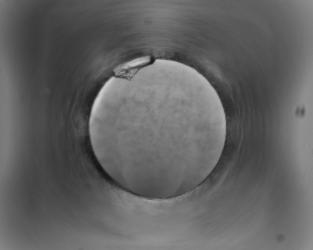 X0000101220039200807251121