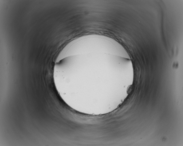 X0000101220040200807251121