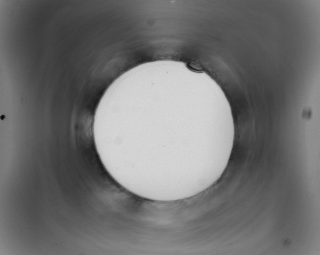 X0000101220041200807251121