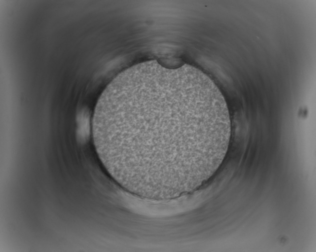 X0000101220042200807251121