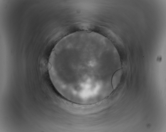X0000101220043200807251121