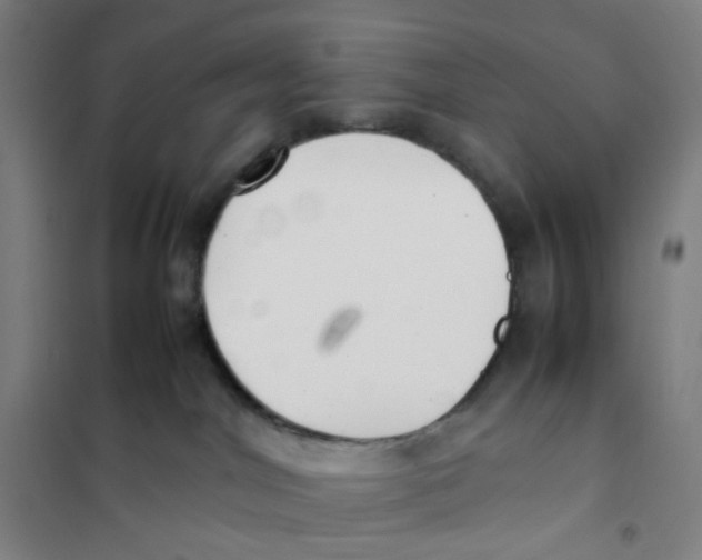 X0000101220044200807251121