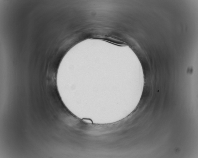X0000101220045200807251121