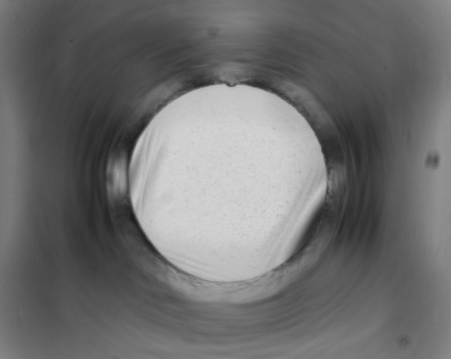 X0000101220046200807251121