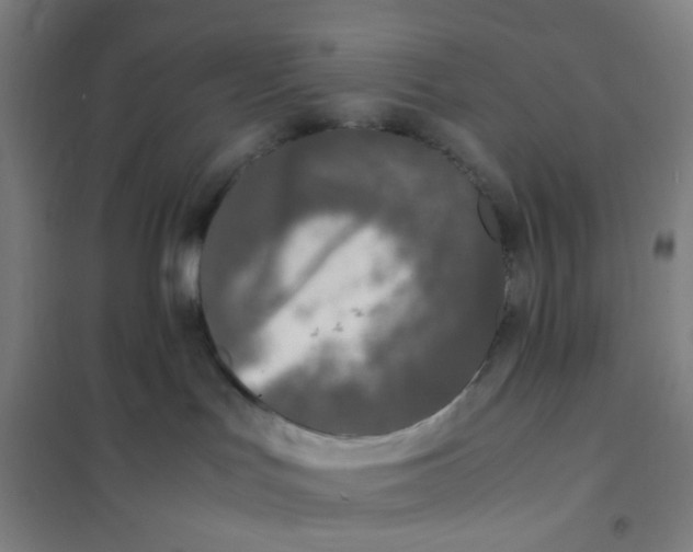 X0000101220047200807251121