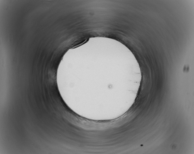 X0000101220048200807251121