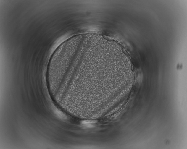 X0000101220051200807251121