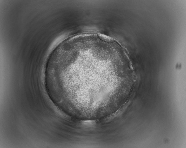 X0000101220053200807251121