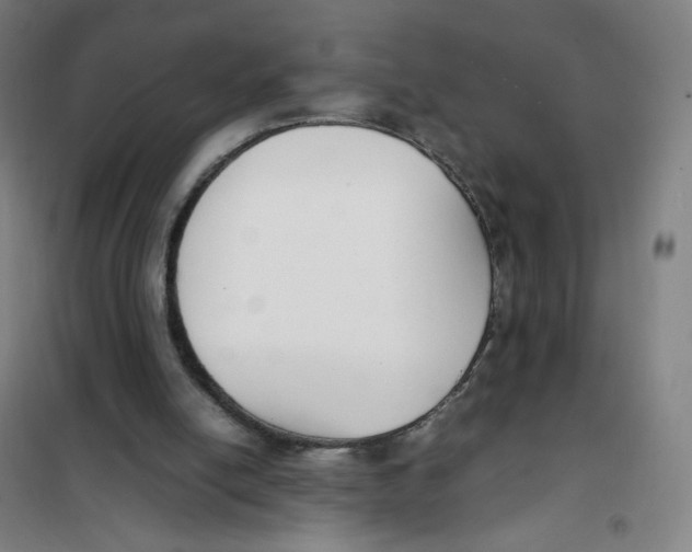 X0000101220054200807251121