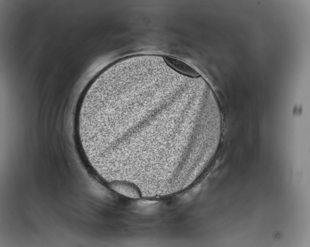 X0000101220055200807251121