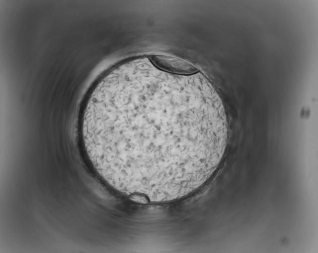 X0000101220056200807251121
