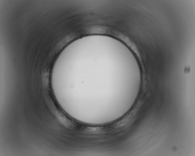 X0000101220057200807251121