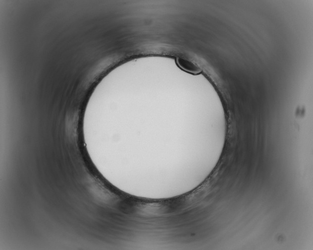 X0000101220058200807251121