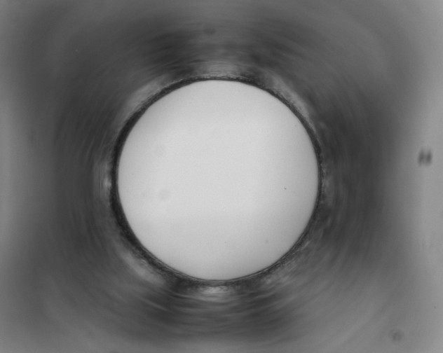 X0000101220059200807251121