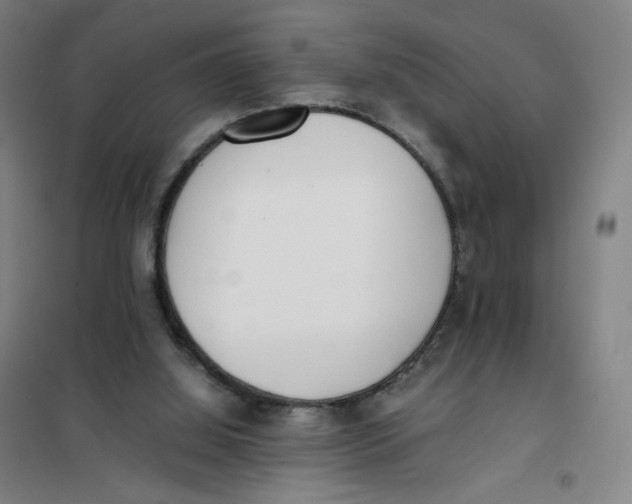 X0000101220060200807251121