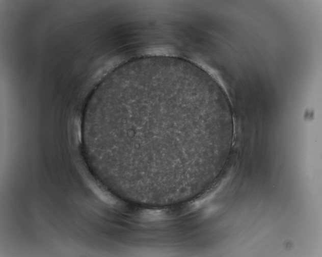 X0000101220061200807251121