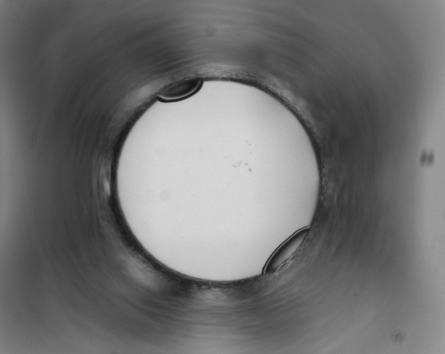 X0000101220062200807251121