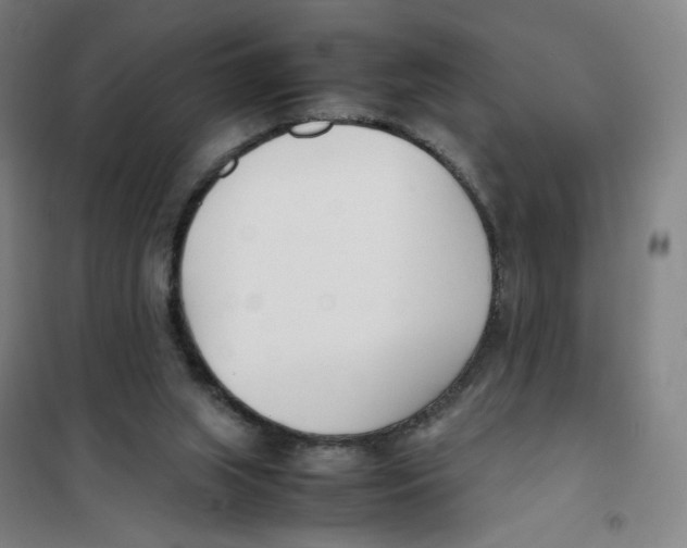 X0000101220063200807251121