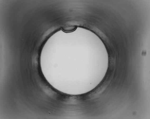 X0000101220064200807251121