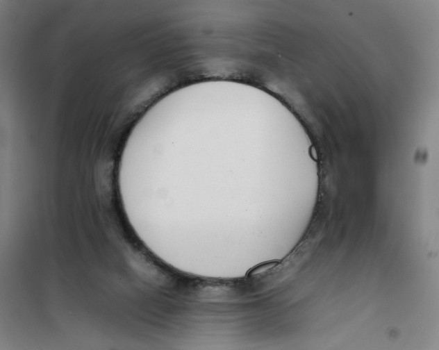 X0000101220066200807251121